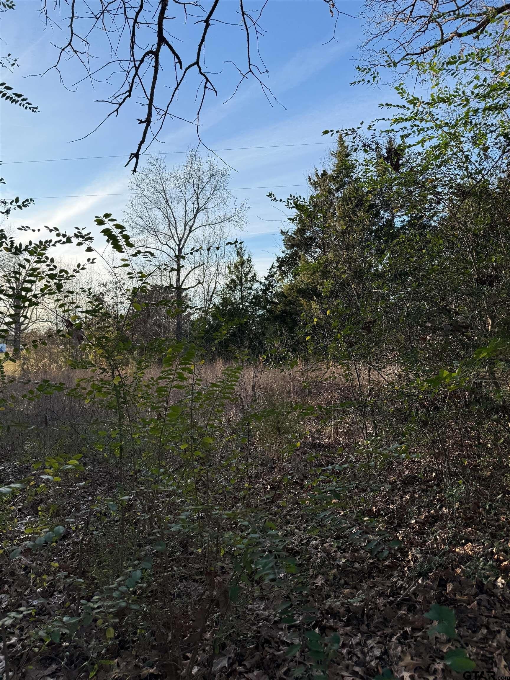 3.24 acres in Titus County - photo 12