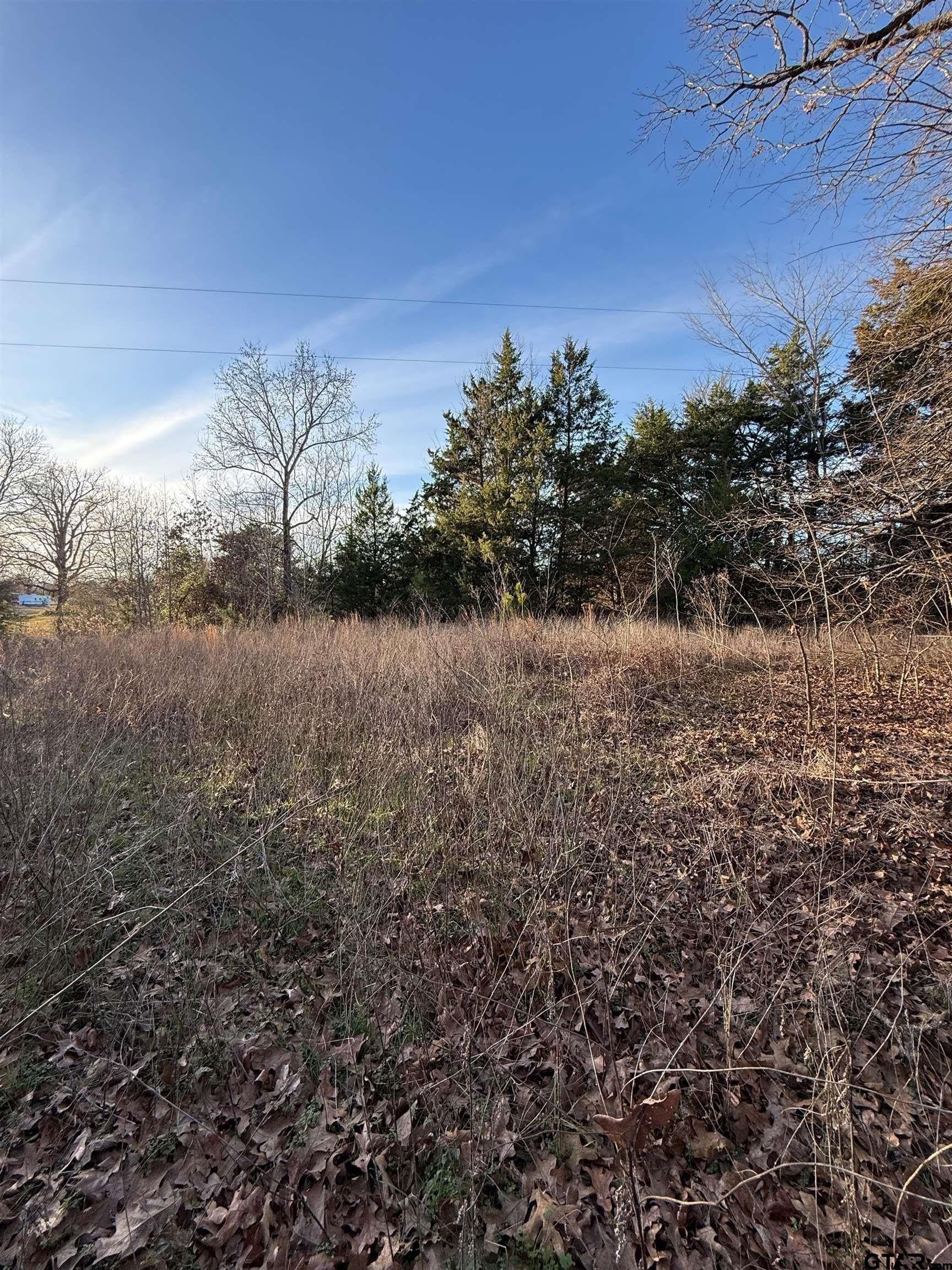 3.24 acres in Titus County - photo 10