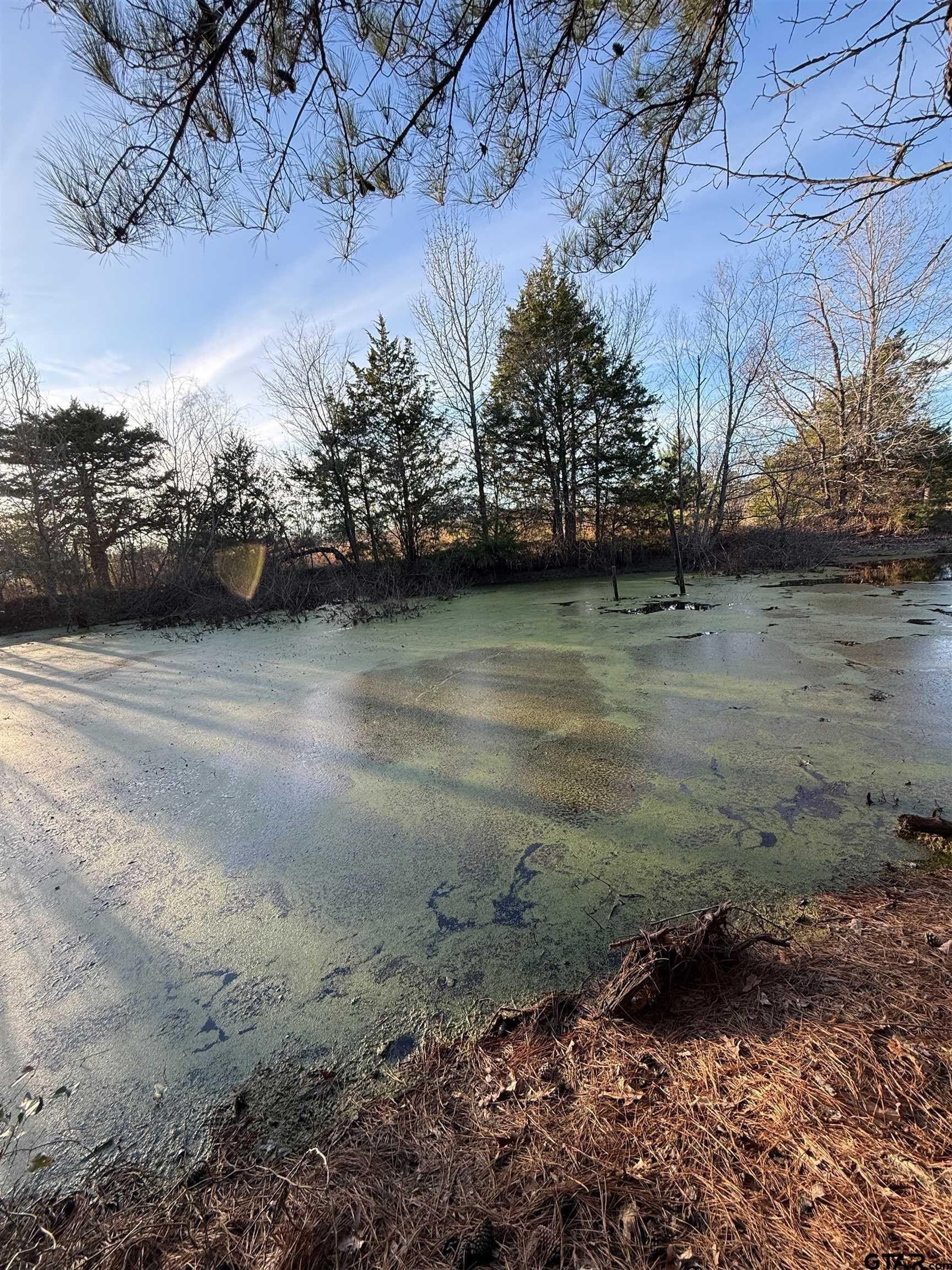 3.24 acres in Titus County - photo 8