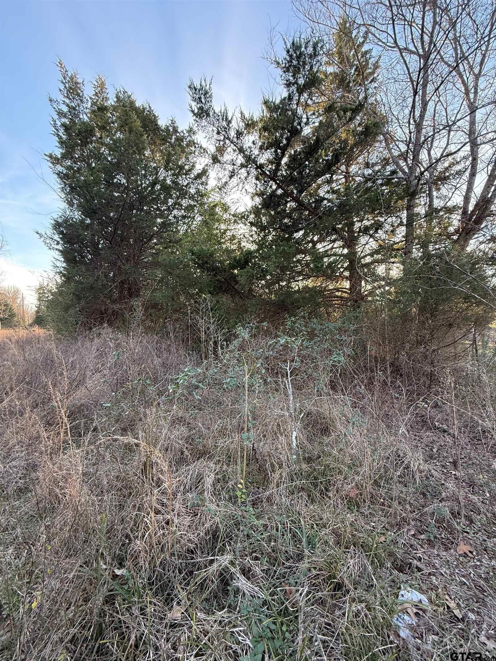 3.24 acres in Titus County - photo 4