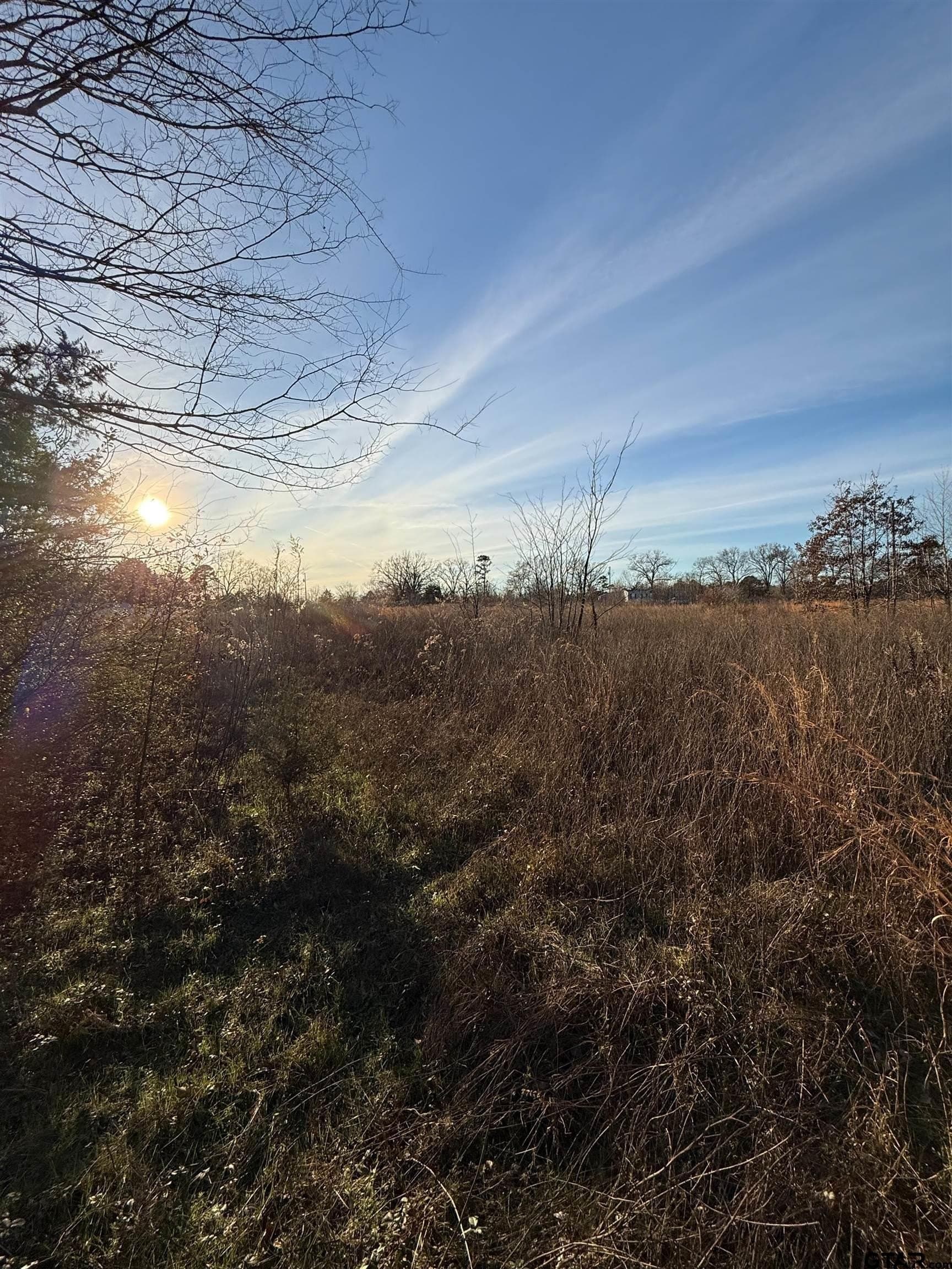 3.24 acres in Titus County - photo 3