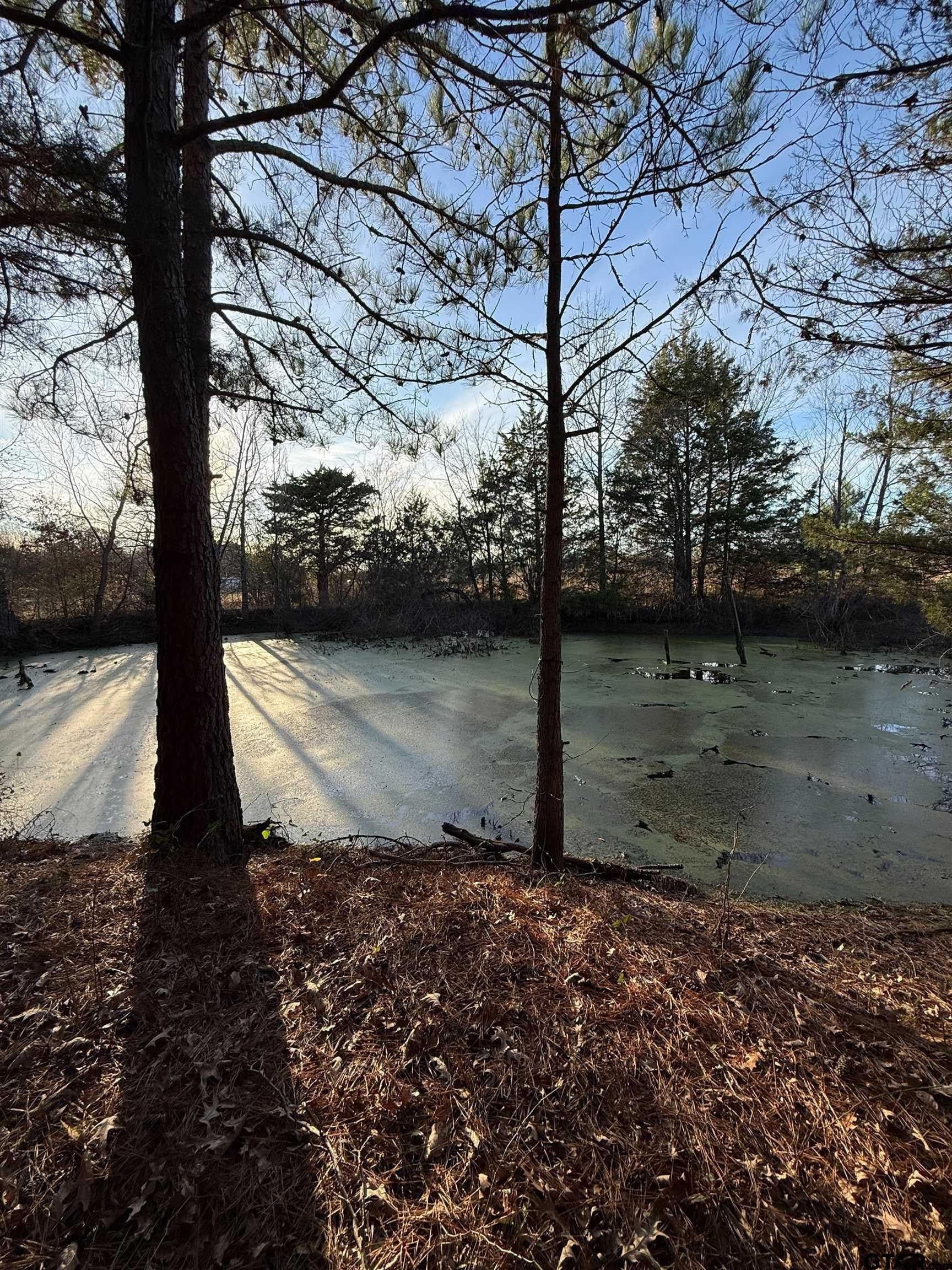 3.24 acres in Titus County - photo 9