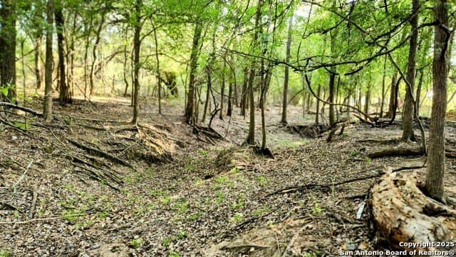 55 acres in Guadalupe County - photo 18