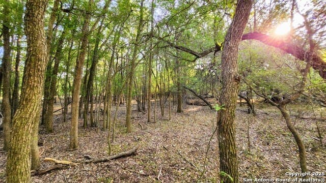 55 acres in Guadalupe County - photo 22
