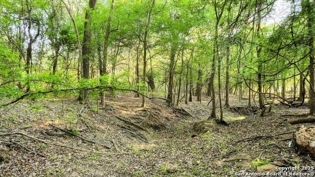 55 acres in Guadalupe County - photo 21