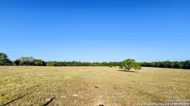 55 acres in Guadalupe County - photo 6