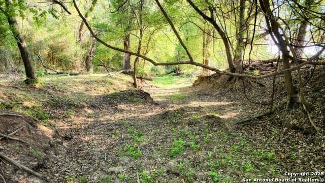 55 acres in Guadalupe County - photo 19