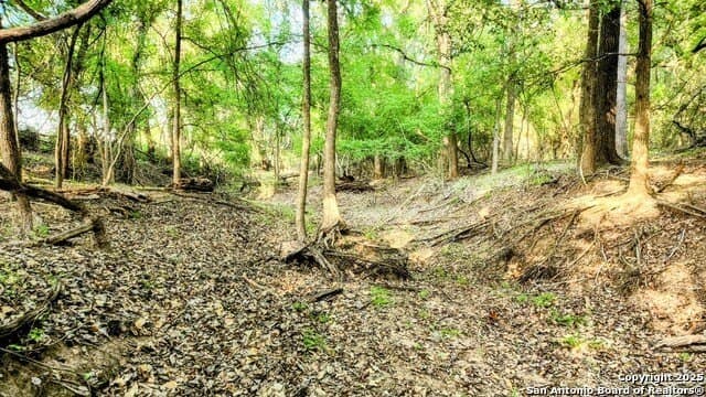 55 acres in Guadalupe County - photo 20
