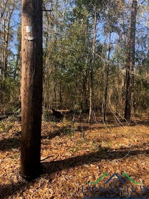 0.02 acres in Rusk County - photo 2