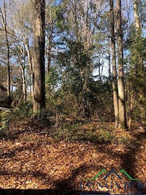 0.02 acres in Rusk County - photo 5