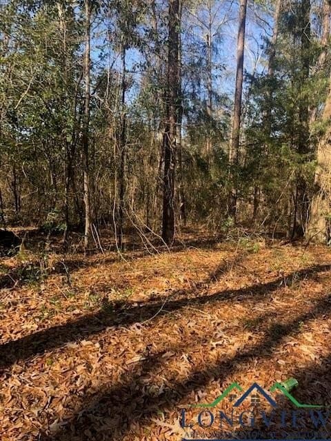 0.02 acres in Rusk County - photo 3