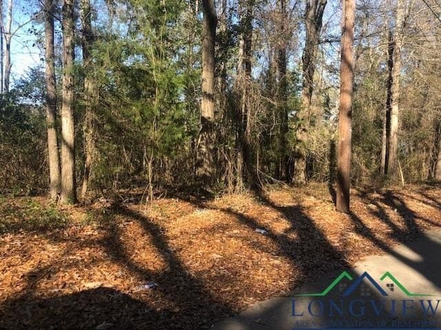 0.02 acres in Rusk County - photo 4