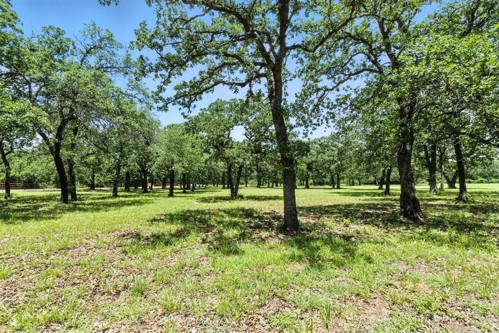 10 acres in Erath County - photo 39
