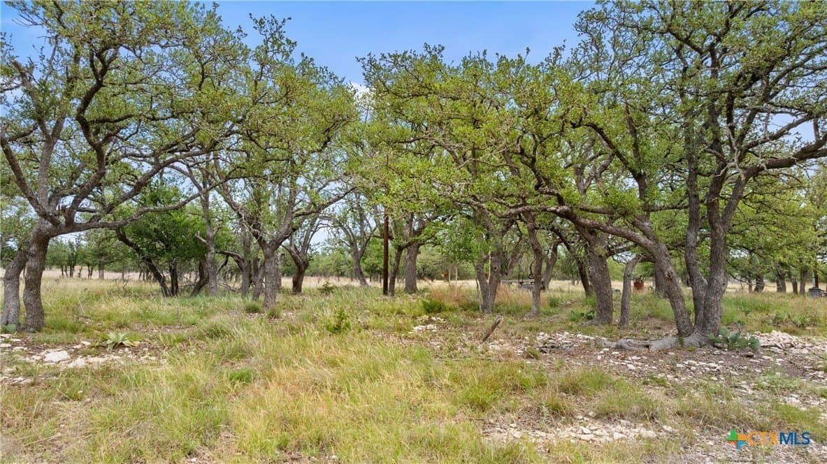 397.23 acres in Gillespie County - photo 17