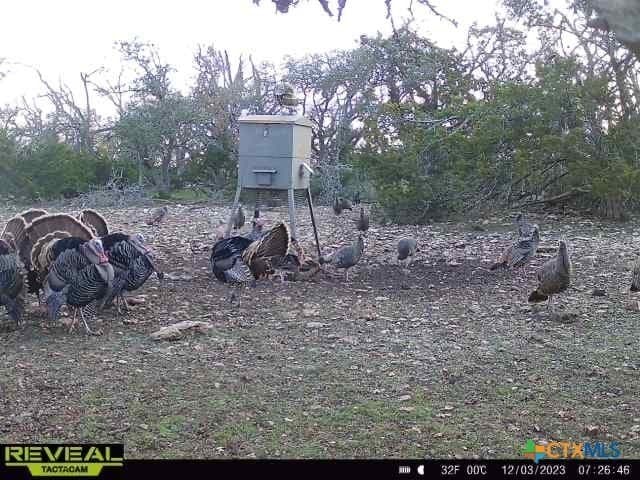 397.23 acres in Gillespie County - photo 8
