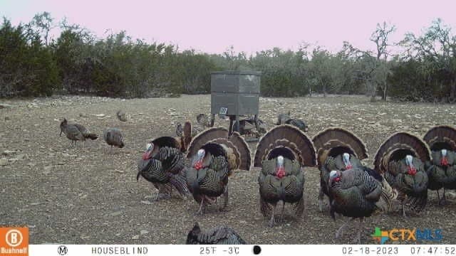 397.23 acres in Gillespie County - photo 5