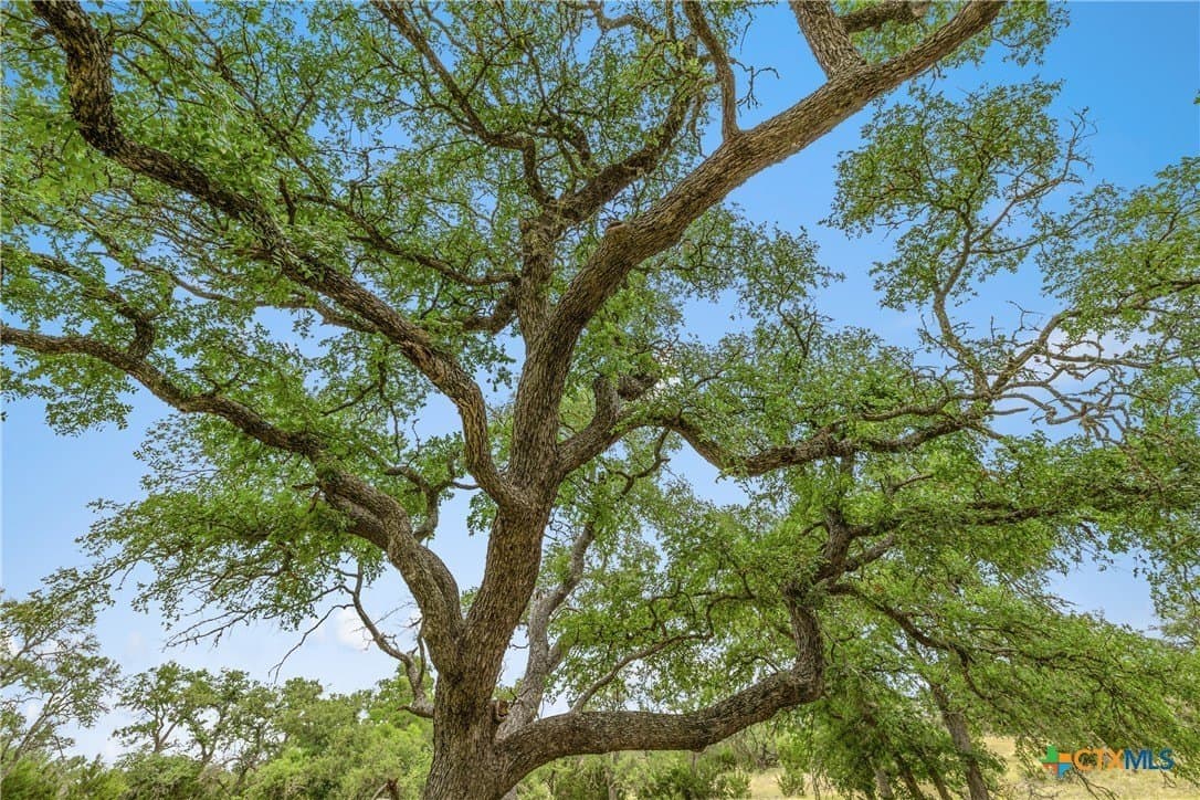 397.23 acres in Gillespie County - photo 27