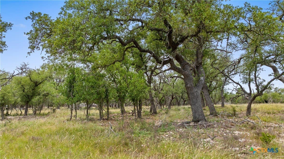 397.23 acres in Gillespie County - photo 4