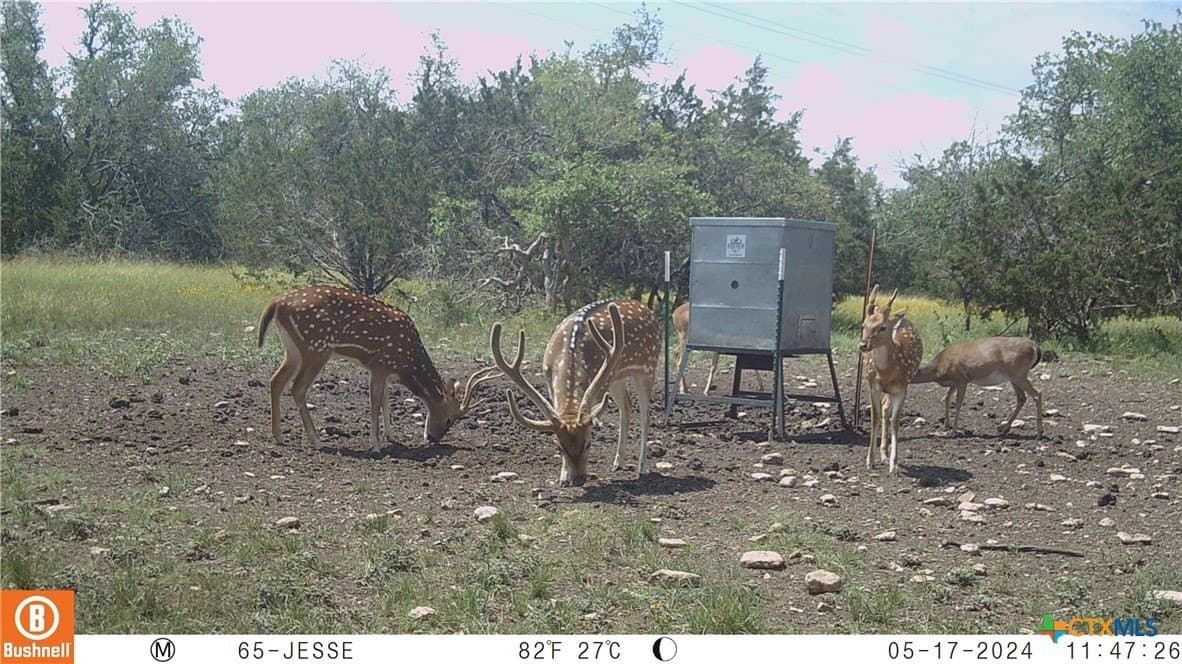 397.23 acres in Gillespie County - photo 10
