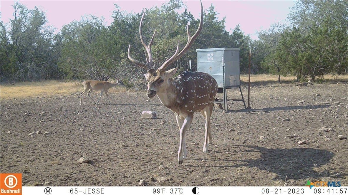 397.23 acres in Gillespie County - photo 2