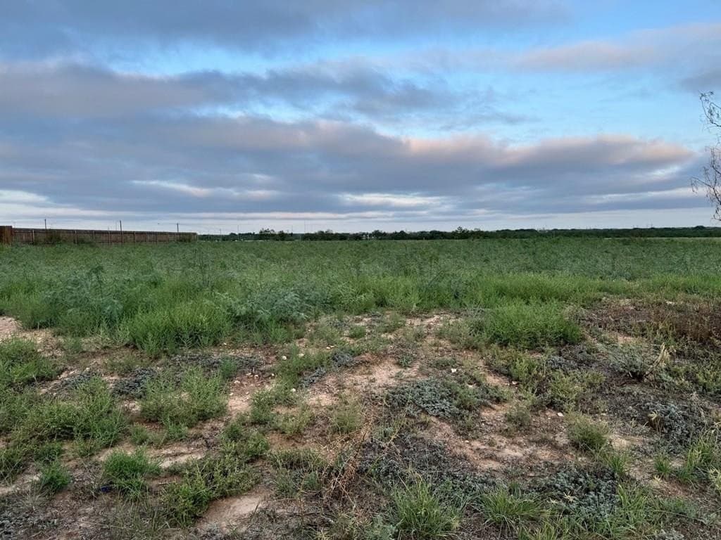4546 Old Stone Drive lot: 9