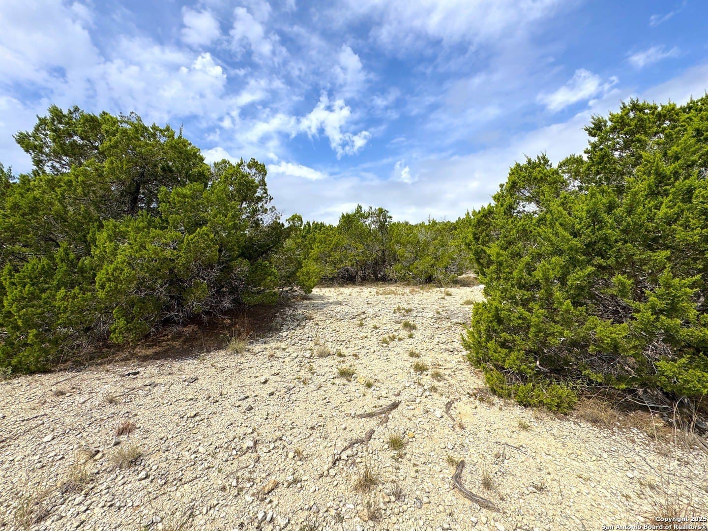 0.99 acres in Comal County - photo 13