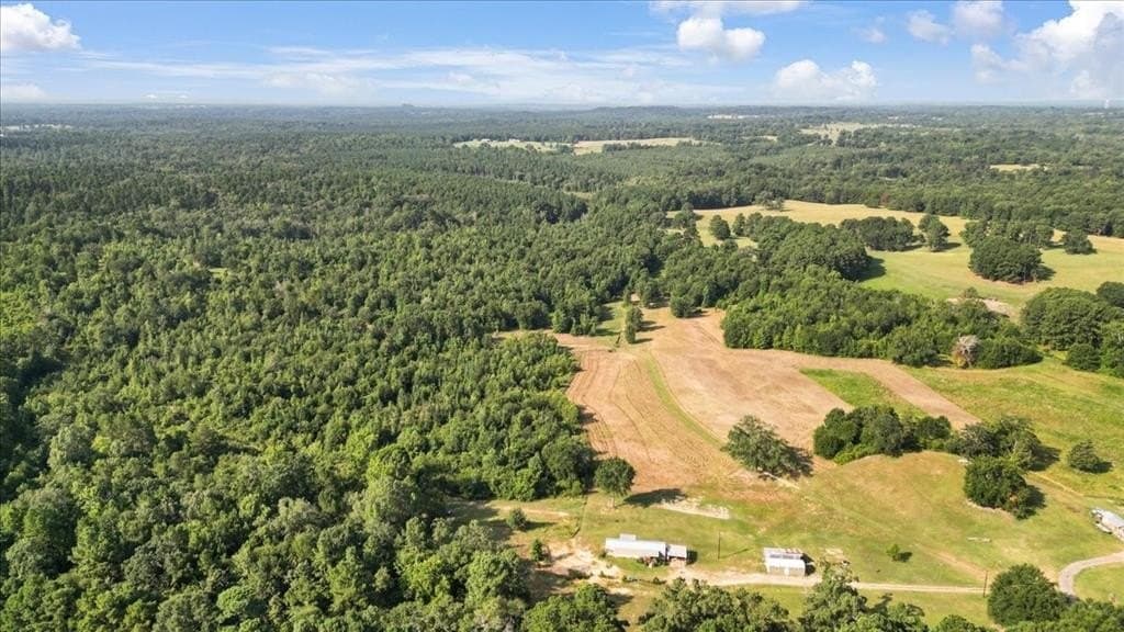 32 acres in Upshur County - photo 6