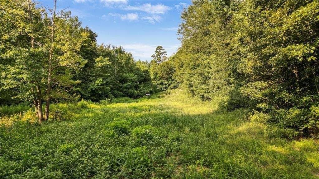 32 acres in Upshur County - photo 17