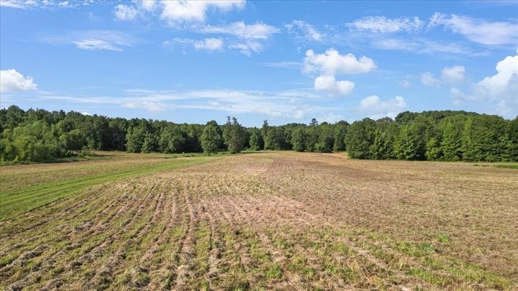 32 acres in Upshur County - photo 13