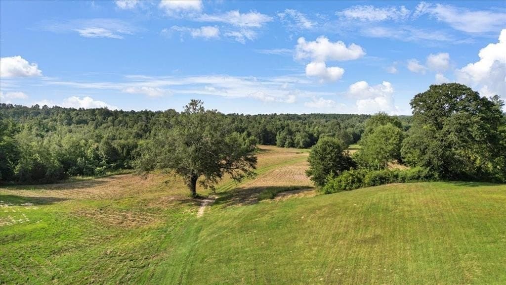 32 acres in Upshur County - photo 2