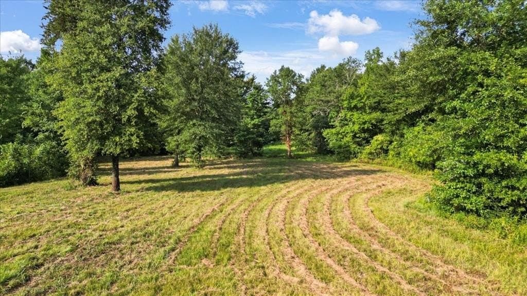 32 acres in Upshur County - photo 14