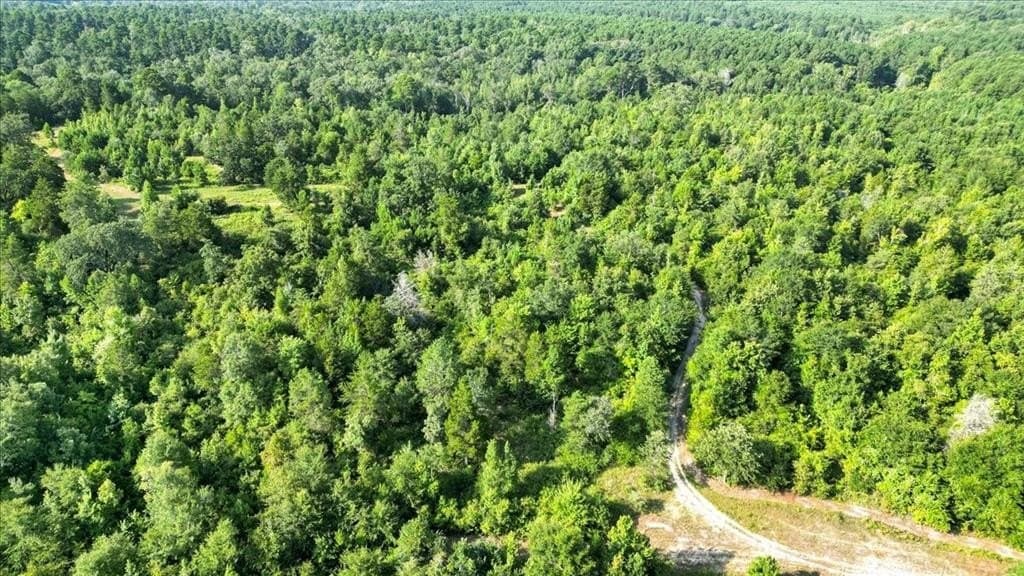 32 acres in Upshur County - photo 9