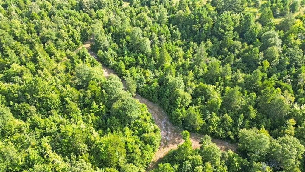 32 acres in Upshur County - photo 11