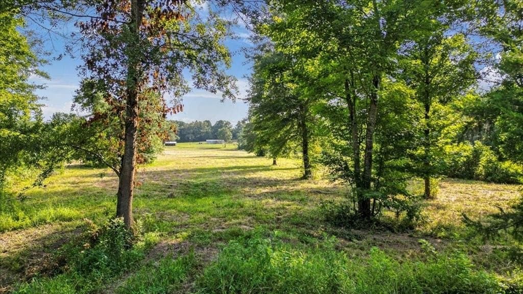 32 acres in Upshur County - photo 18