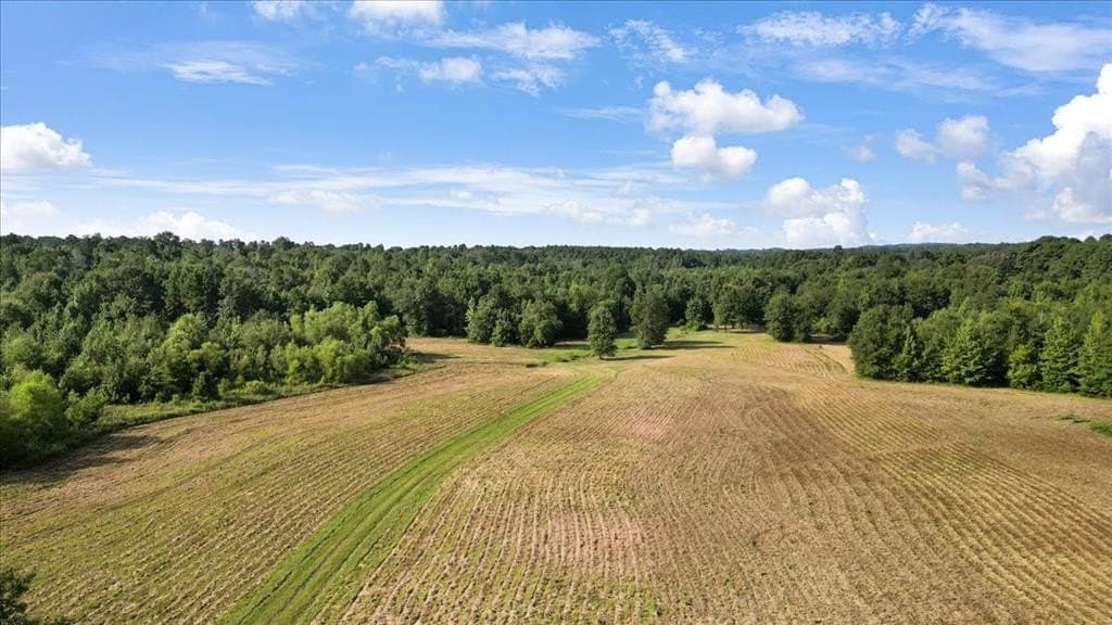 32 acres in Upshur County - photo 3