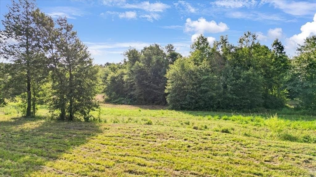 32 acres in Upshur County - photo 16
