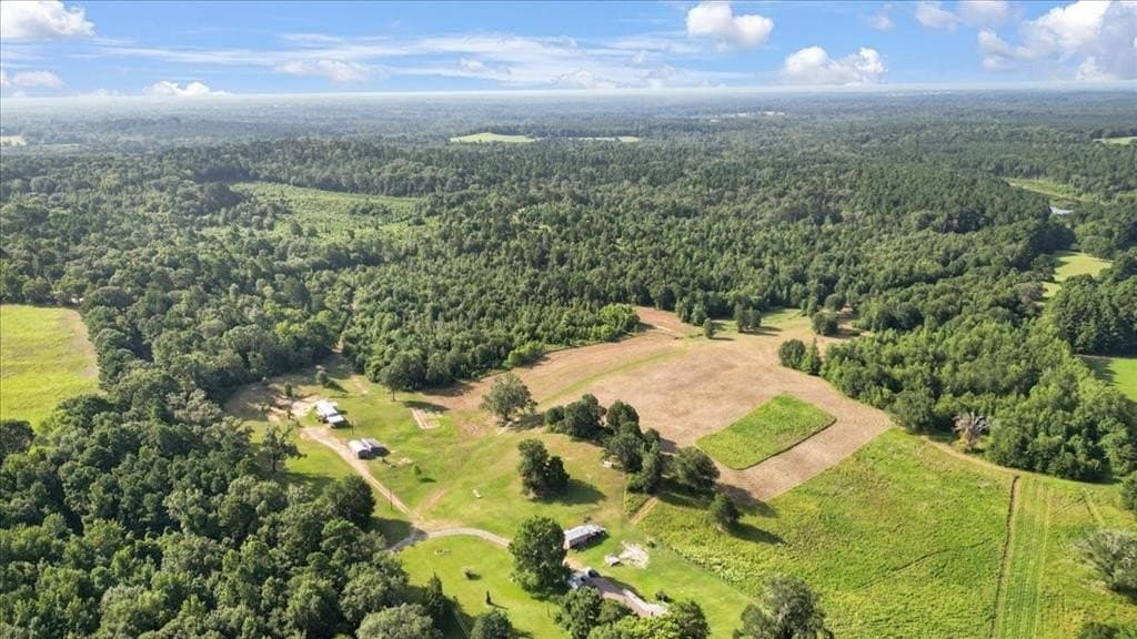 32 acres in Upshur County - photo 8