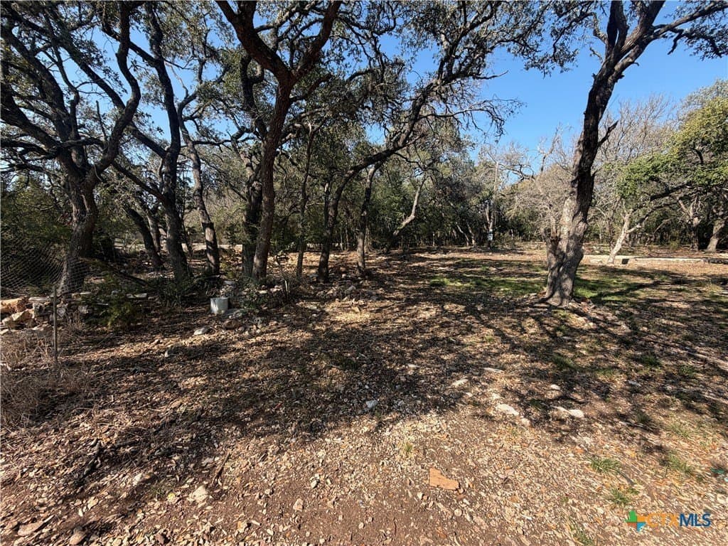 2.8 acres in Comal County - photo 7