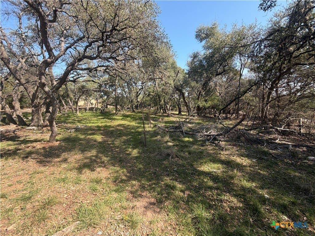 2.8 acres in Comal County - photo 6