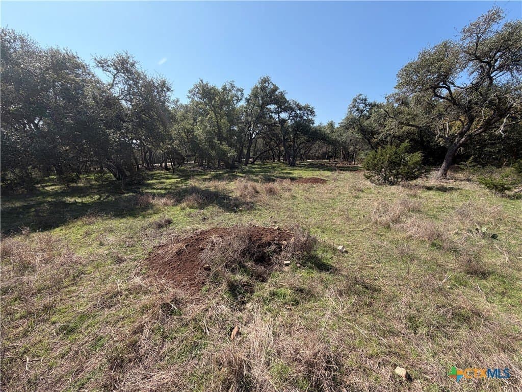 2.8 acres in Comal County - photo 14