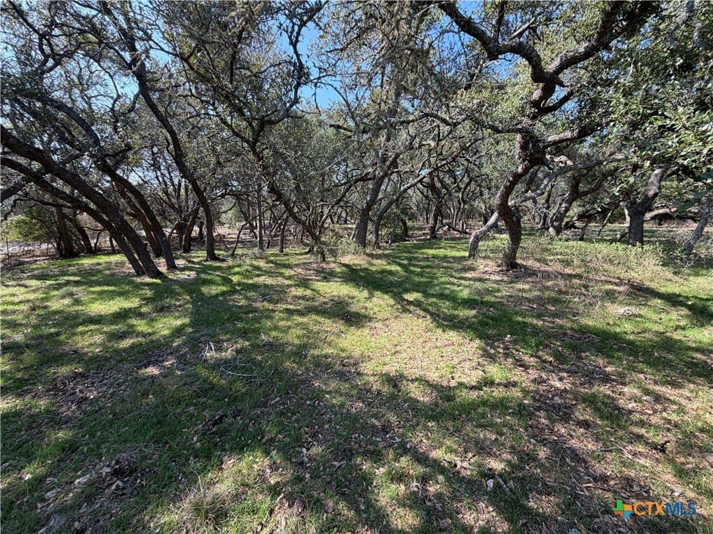 2.8 acres in Comal County - photo 2