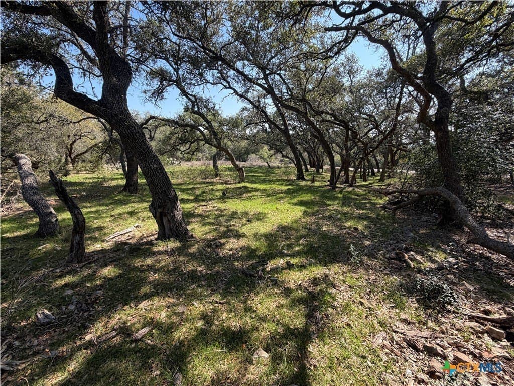 2.8 acres in Comal County - photo 9