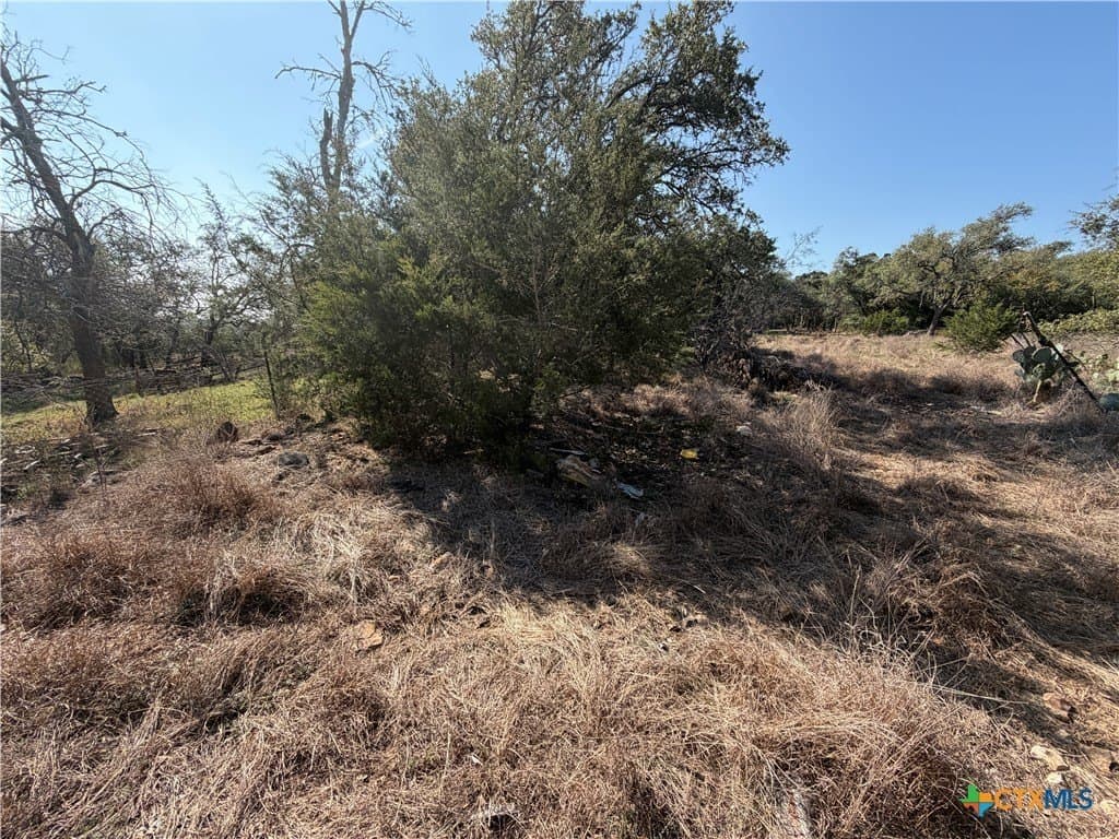 2.8 acres in Comal County - photo 15