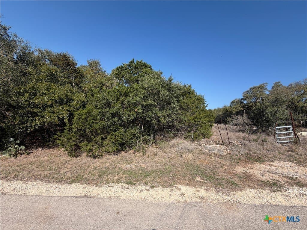 2.8 acres in Comal County - photo 17