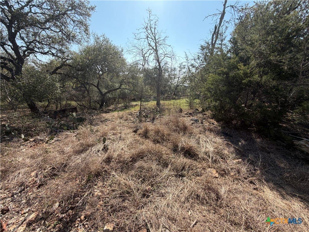 2.8 acres in Comal County - photo 10