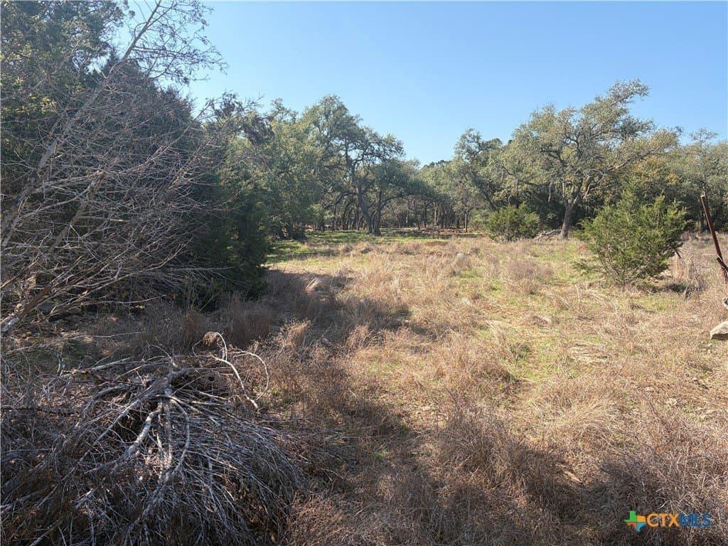 2.8 acres in Comal County - photo 13