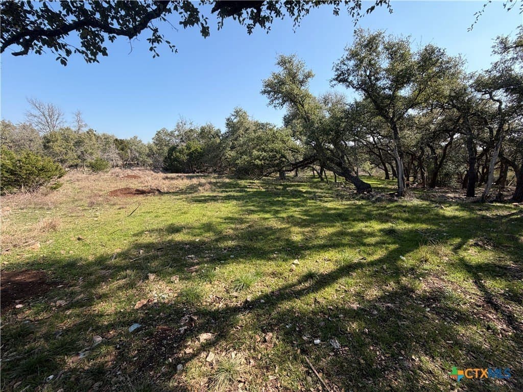 2.8 acres in Comal County - photo 16
