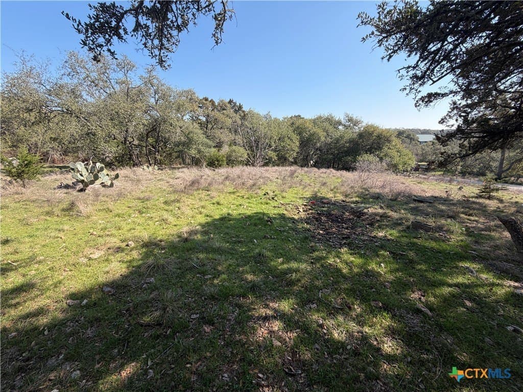2.8 acres in Comal County - photo 3