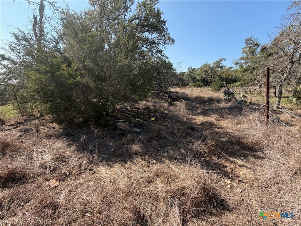 2.8 acres in Comal County - photo 12