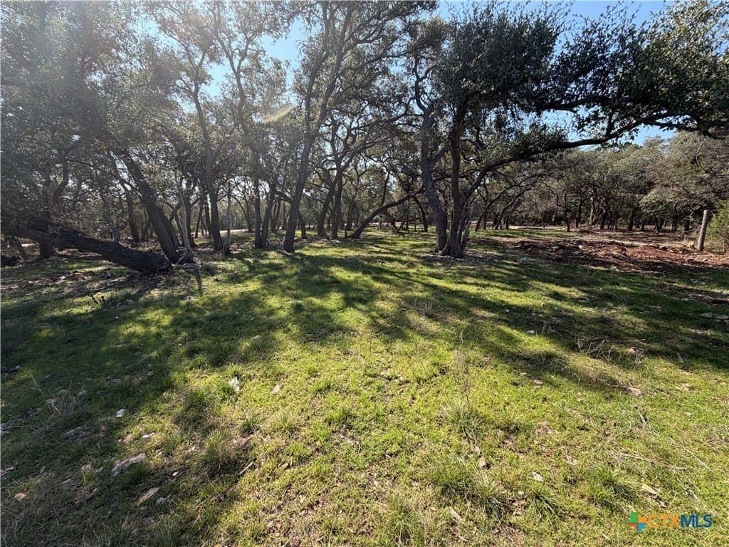 2.8 acres in Comal County - photo 11